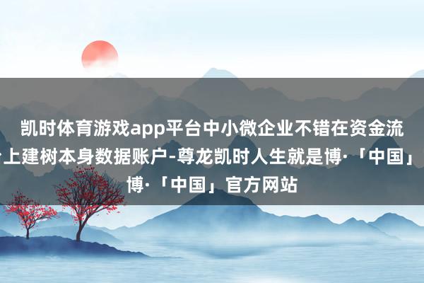 凯时体育游戏app平台中小微企业不错在资金流信息平台上建树本身数据账户-尊龙凯时人生就是博·「中国」官方网站