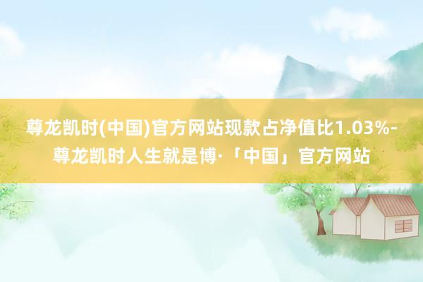 尊龙凯时(中国)官方网站现款占净值比1.03%-尊龙凯时人生就是博·「中国」官方网站