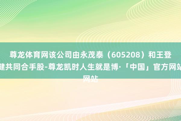 尊龙体育网该公司由永茂泰（605208）和王登健共同合手股-尊龙凯时人生就是博·「中国」官方网站