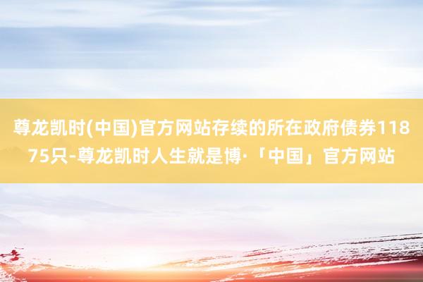 尊龙凯时(中国)官方网站存续的所在政府债券11875只-尊龙凯时人生就是博·「中国」官方网站